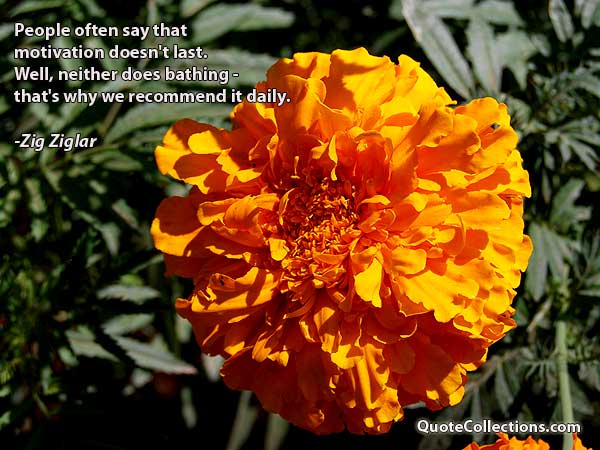 Zig Ziglar Quotes6